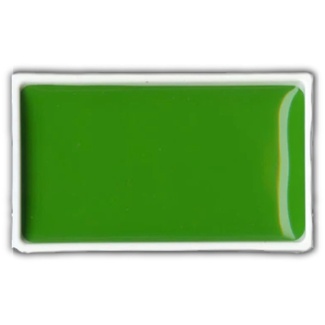 Kuretake Gansai Tambi Watercolour Pan - Sap Green Light