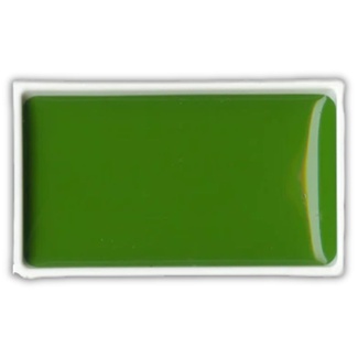 Kuretake Gansai Tambi Watercolour Pan - Sap Green