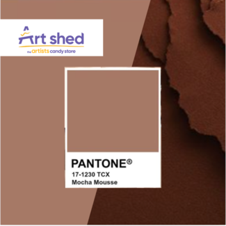 Pantone Colour of Year 2025: Mocha Mousse